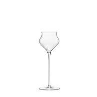 Sapientia Spirits Mouth-Blown Liqueur Glass 14 cl Set of 2