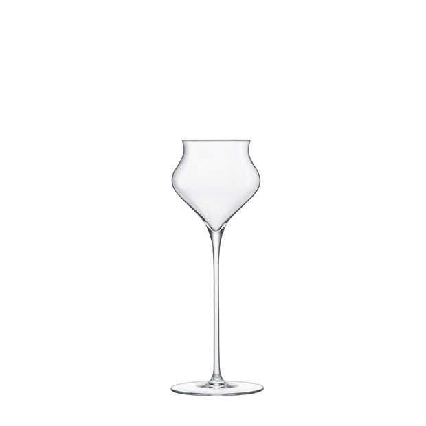 Sapientia Spirits Mouth-Blown Liqueur Glass 14 cl Set of 2