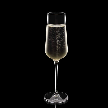 Intenso Flûte À Champagne 24 cl Lot 6 Pcs